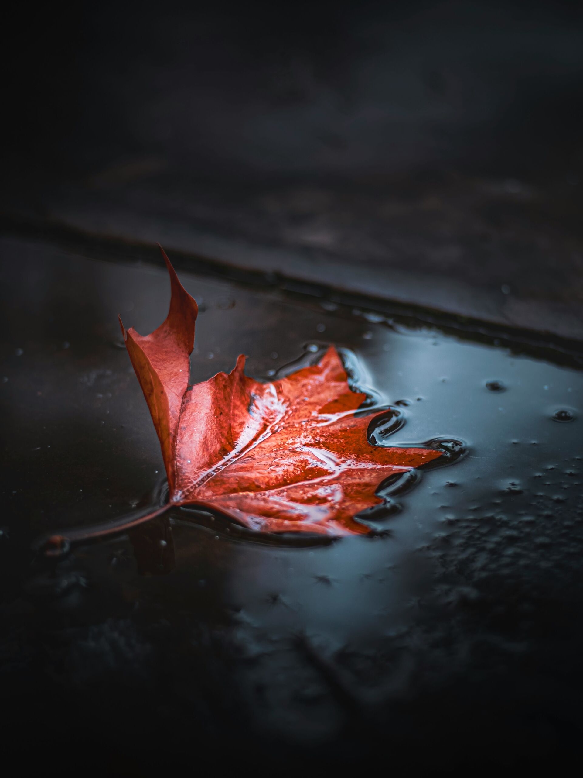 Ihre Unterst&uuml;tzung wirkt.